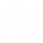 Noah's Ark Roofing
